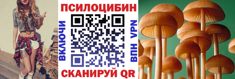 Галлюциногенные грибы GOLDEN TEACHER  наркошоп  Бирск 