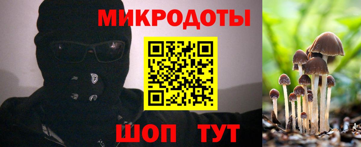Галлюциногенные грибы Psilocybine cubensis  Вход с VPN  Бирск 